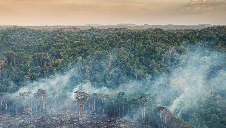 destrucción de las Indias brasileñas